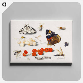 アートパネル-Butterfly, Caterpillar, Moth, Insects, and Currants
 - ヤン ファン ケッセル Canvas.
