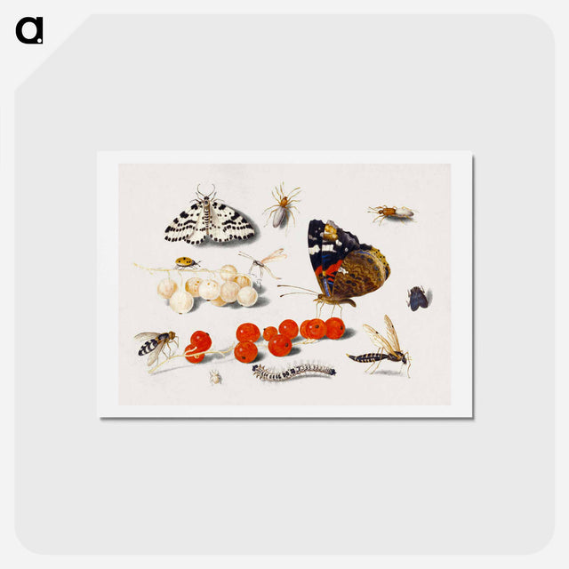 アートポストカード-Butterfly, Caterpillar, Moth, Insects, and Currants
 - ヤン ファン ケッセル Postcard.