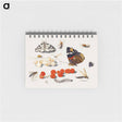 アートメモ帳-Butterfly, Caterpillar, Moth, Insects, and Currants
 - ヤン ファン ケッセル Memo.