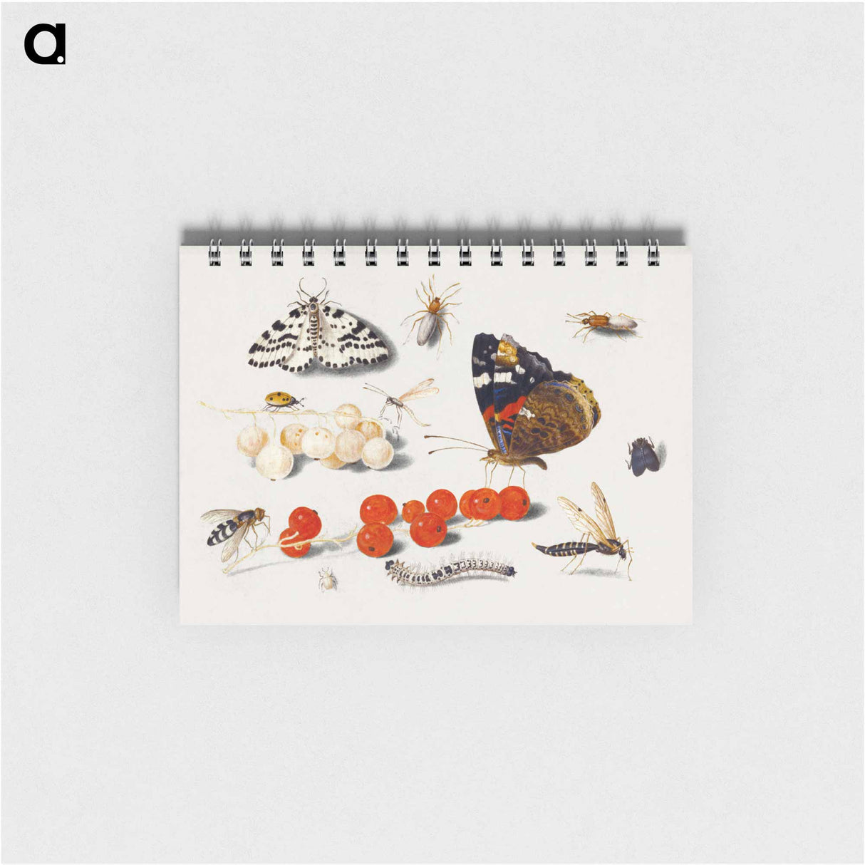 アートメモ帳-Butterfly, Caterpillar, Moth, Insects, and Currants
 - ヤン ファン ケッセル Memo.
