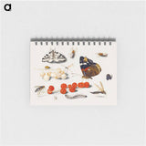 アートメモ帳-Butterfly, Caterpillar, Moth, Insects, and Currants
 - ヤン ファン ケッセル Memo.