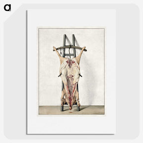 1-5_Jean-Bernard_picture