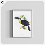 1-5_John-Gould_blk-crop