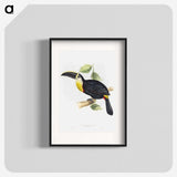 1-5_John-Gould_blk