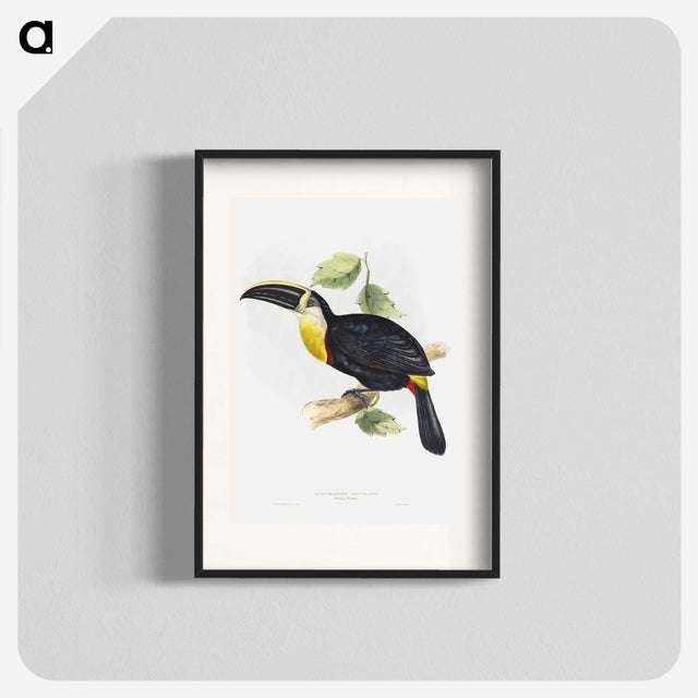 1-5_John-Gould_blk