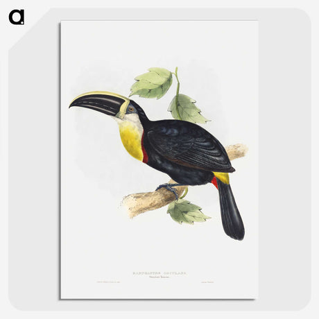 1-5_John-Gould_picture-crop