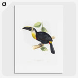 1-5_John-Gould_picture