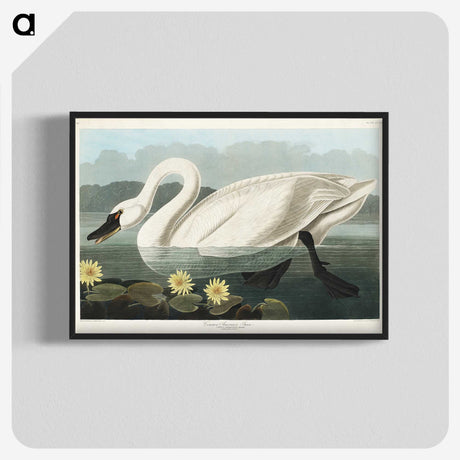 1-5_John-James-Audubon_blk-crop