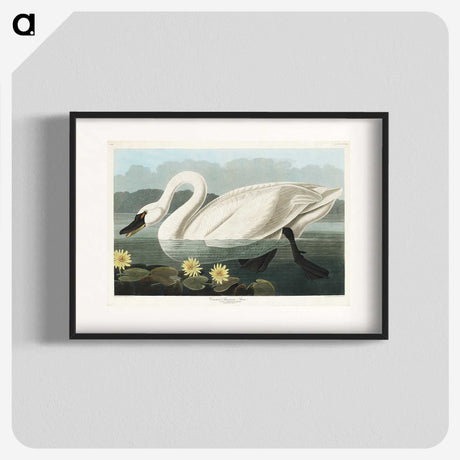 1-5_John-James-Audubon_blk