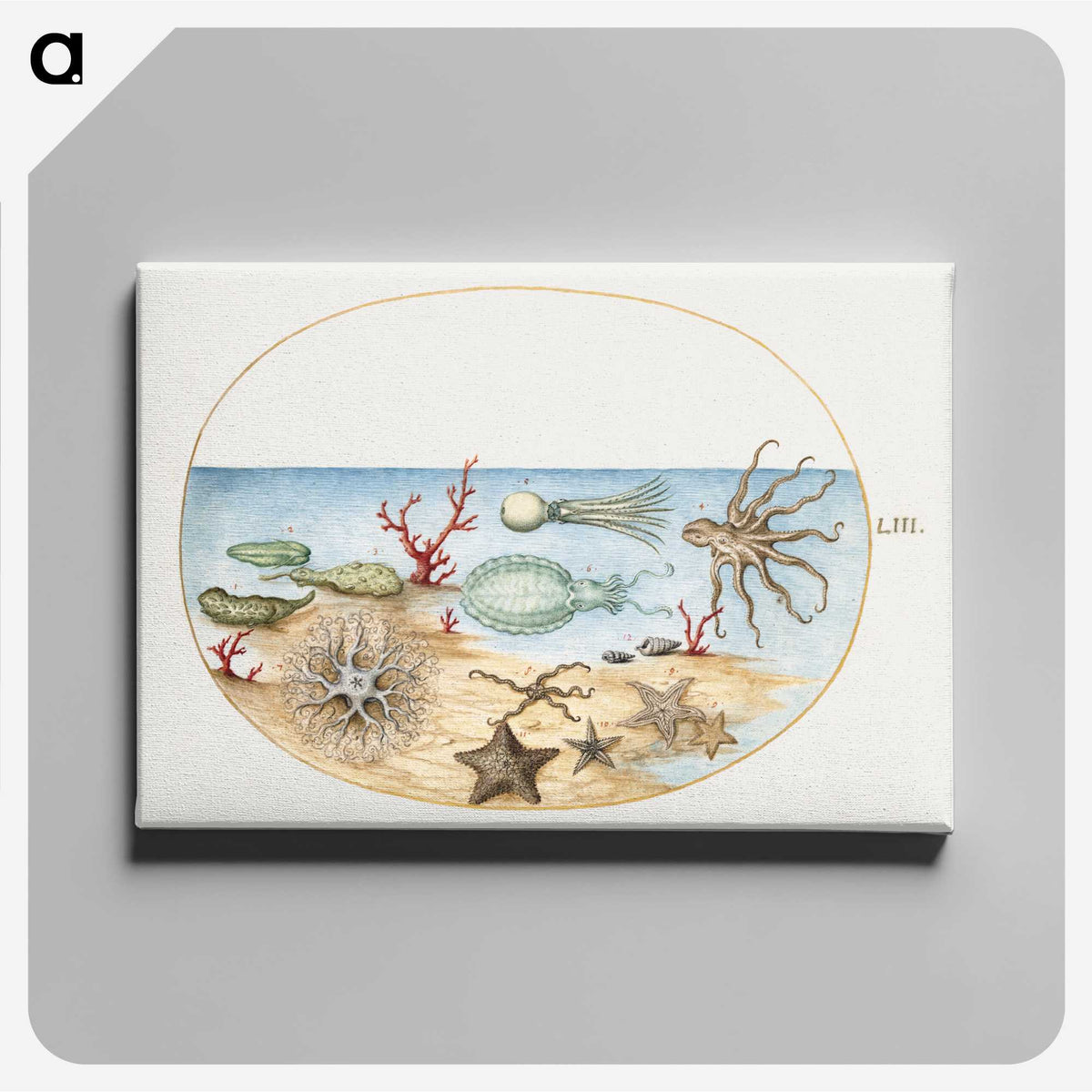 1-5_Joris-Hoefnagel_canvas