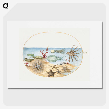 1-5_Joris-Hoefnagel_picture