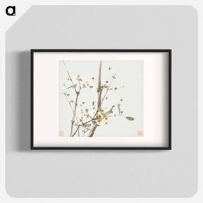 アートポスター-Insects and Flowers
 - ジュ リアン Poster.