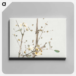 アートパネル-Insects and Flowers
 - ジュ リアン Canvas.