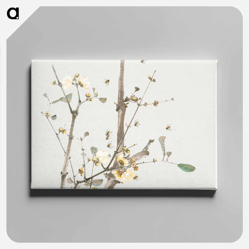 Insects and Flowers
 - ジュ リアン Canvas.