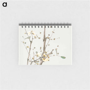アートメモ帳-Insects and Flowers
 - ジュ リアン Memo.