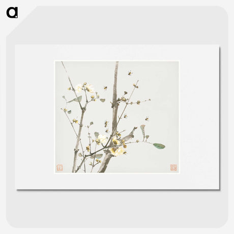 1-5_Ju-Lian_picture