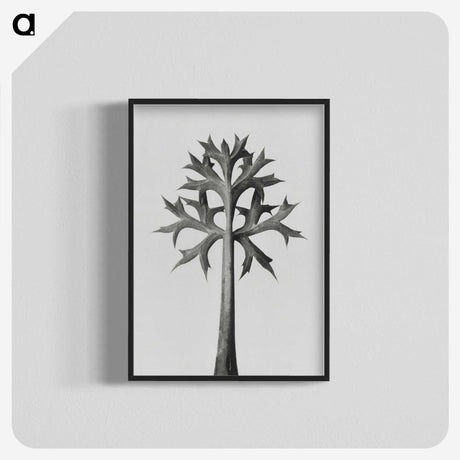 1-5_Karl-Blossfeldt_blk-crop