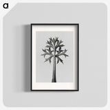 1-5_Karl-Blossfeldt_blk