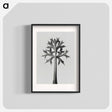アートポスター-Eryngium Bourgatii leaves enlarged 5 times from Urformen der Kunst by Karl Blossfeldt - カール ブロスフェルト Poster.