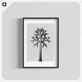 アートポスター-Eryngium Bourgatii leaves enlarged 5 times from Urformen der Kunst by Karl Blossfeldt - カール ブロスフェルト Poster.