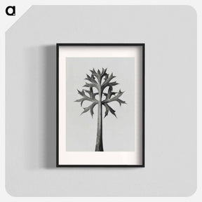 アートポスター-Eryngium Bourgatii leaves enlarged 5 times from Urformen der Kunst by Karl Blossfeldt - カール ブロスフェルト Poster.
