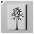 1-5_Karl-Blossfeldt_canvas