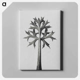 アートパネル-Eryngium Bourgatii leaves enlarged 5 times from Urformen der Kunst by Karl Blossfeldt - カール ブロスフェルト Canvas.