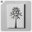 アートパネル-Eryngium Bourgatii leaves enlarged 5 times from Urformen der Kunst by Karl Blossfeldt - カール ブロスフェルト Canvas.
