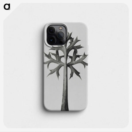 1-5_Karl-Blossfeldt_phone