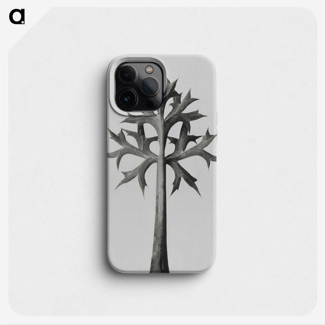 1-5_Karl-Blossfeldt_phone