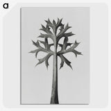 1-5_Karl-Blossfeldt_picture-crop