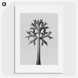 1-5_Karl-Blossfeldt_picture