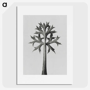1-5_Karl-Blossfeldt_picture