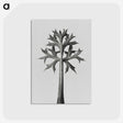 1-5_Karl-Blossfeldt_postcard