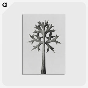 1-5_Karl-Blossfeldt_postcard
