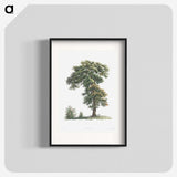 1-5_La-Botanique_blk