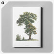 1-5_La-Botanique_canvas