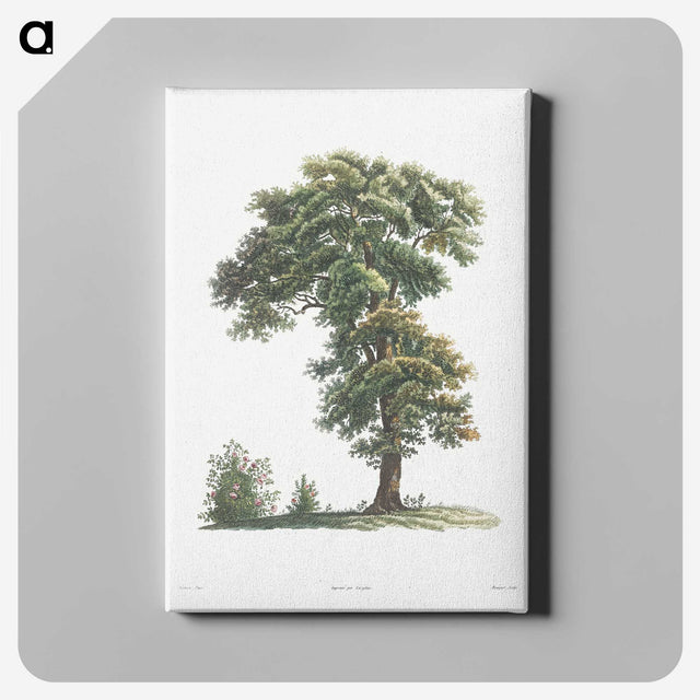 1-5_La-Botanique_canvas