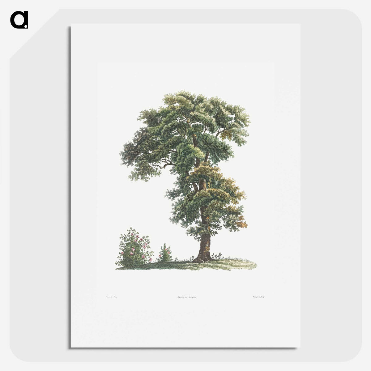 1-5_La-Botanique_picture