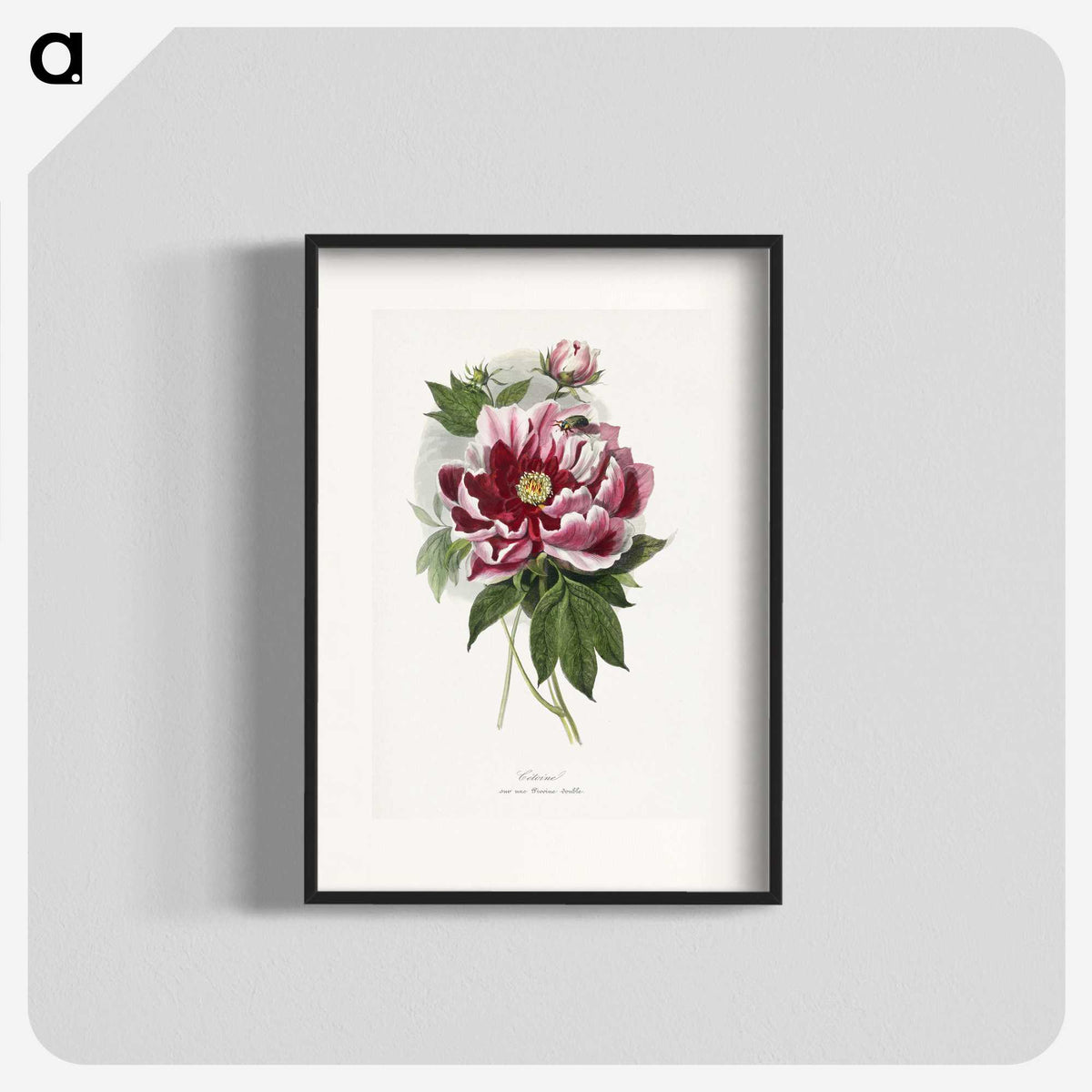 1-5_Le-Jardin-des-Plantes_blk