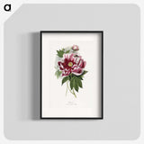 1-5_Le-Jardin-des-Plantes_blk