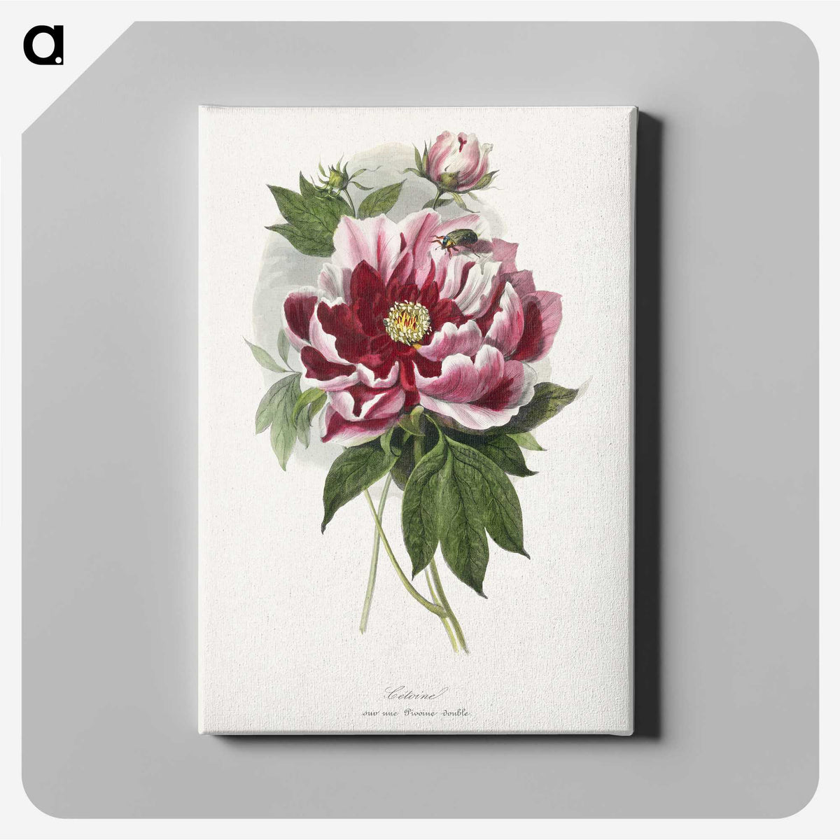1-5_Le-Jardin-des-Plantes_canvas