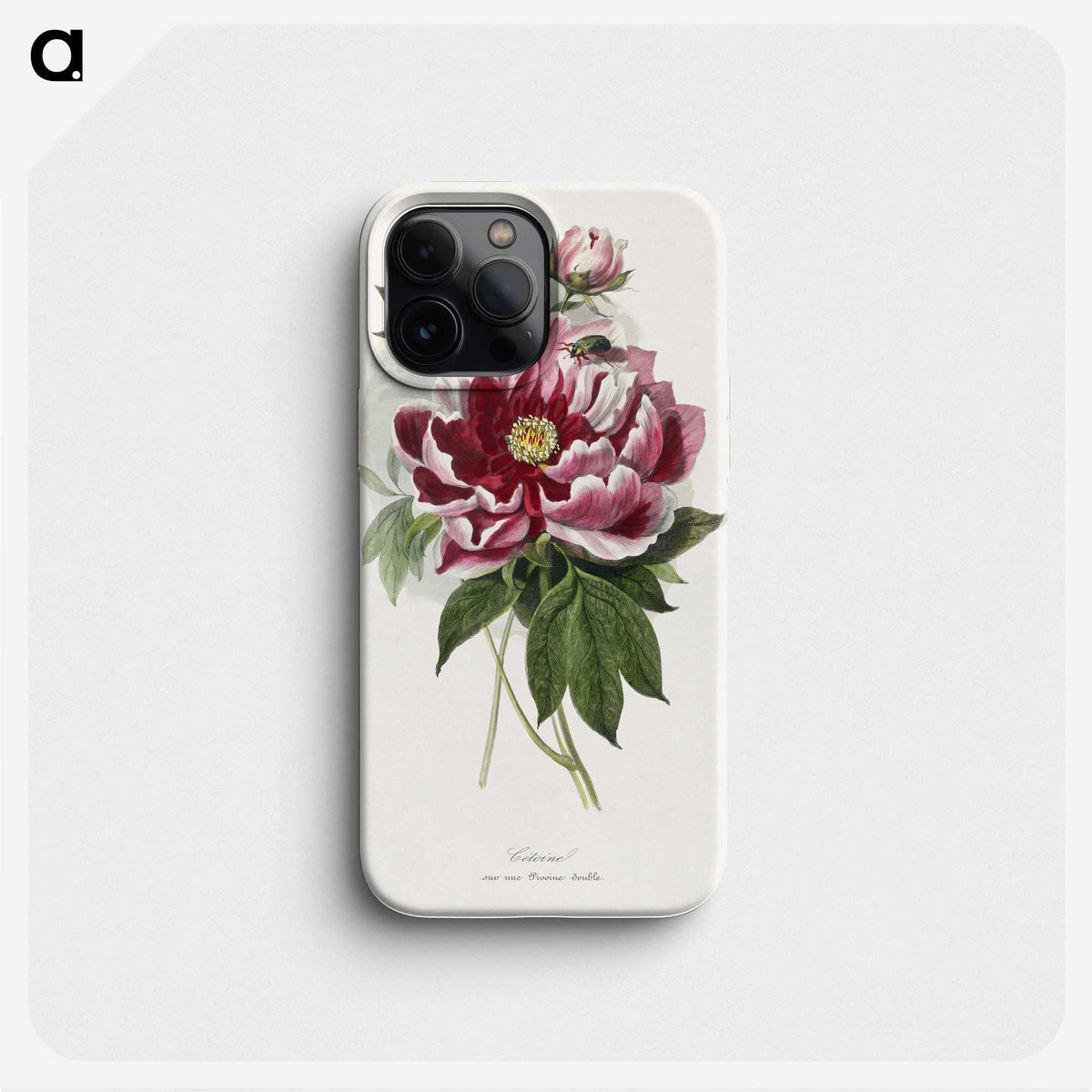 1-5_Le-Jardin-des-Plantes_phone