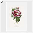 1-5_Le-Jardin-des-Plantes_picture
