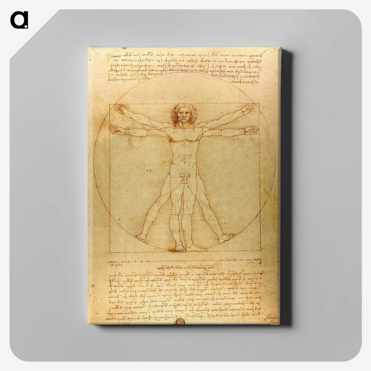 1-5_Leonardo-Da-Vinci_canvas