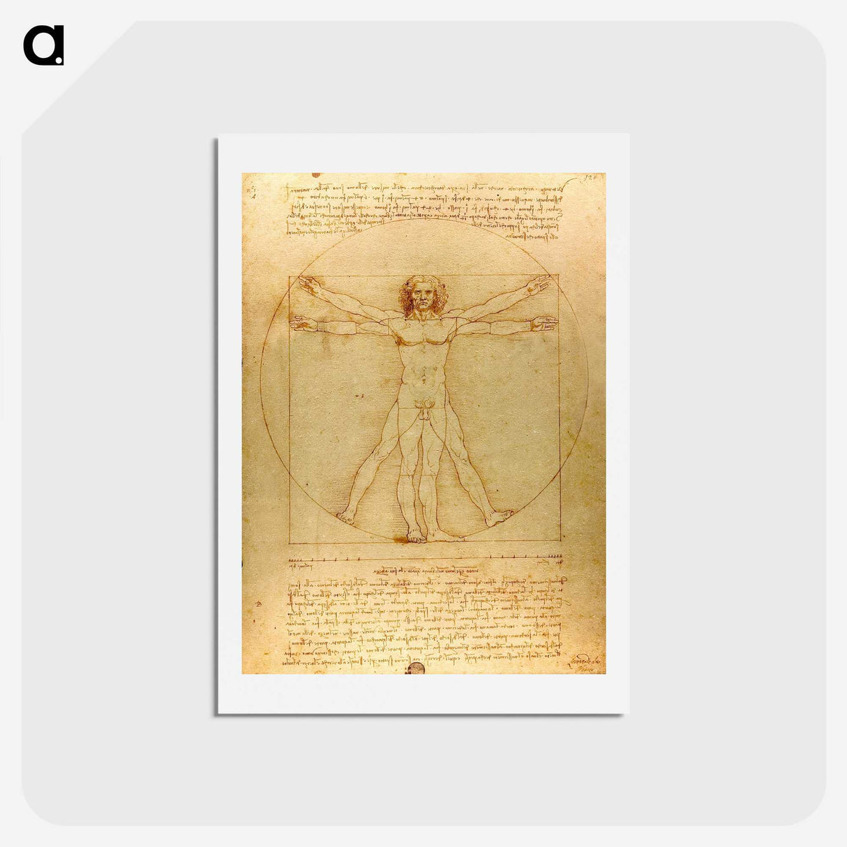 1-5_Leonardo-Da-Vinci_hagaki