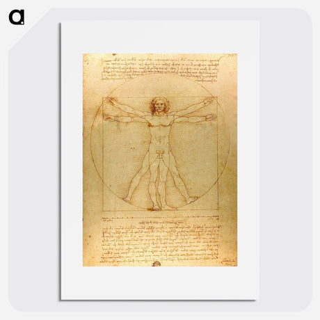 Vitruvian Man - Leonardo da Vinci Poster.