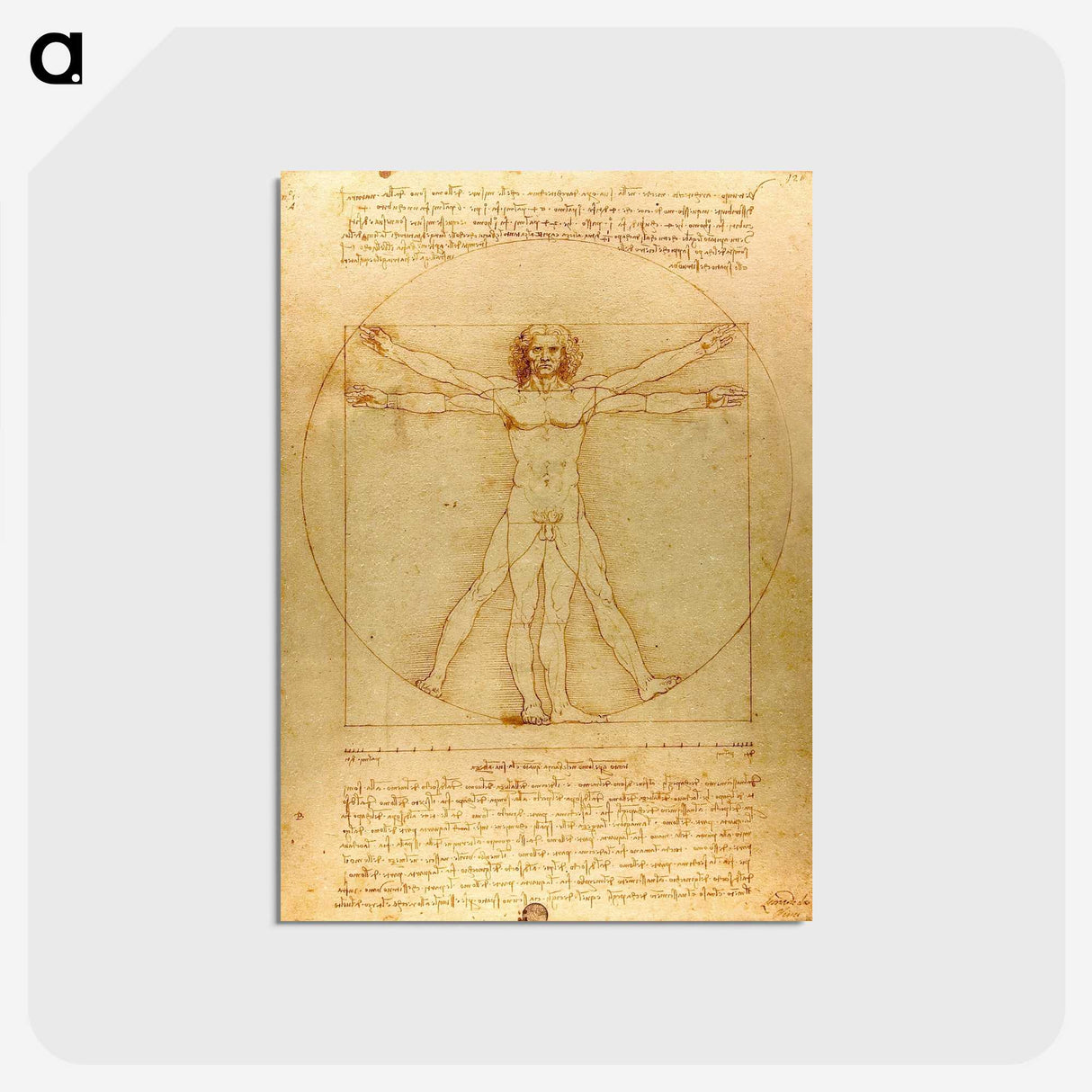 1-5_Leonardo-Da-Vinci_postcard