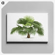 1-5_Les-Palmiers-Histoire-Iconographique_canvas