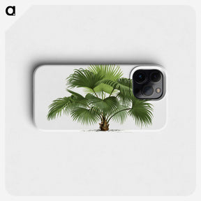 1-5_Les-Palmiers-Histoire-Iconographique_phone